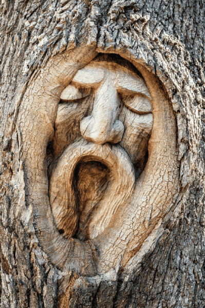 Things To Do Tree Spirits of St. Simons Island